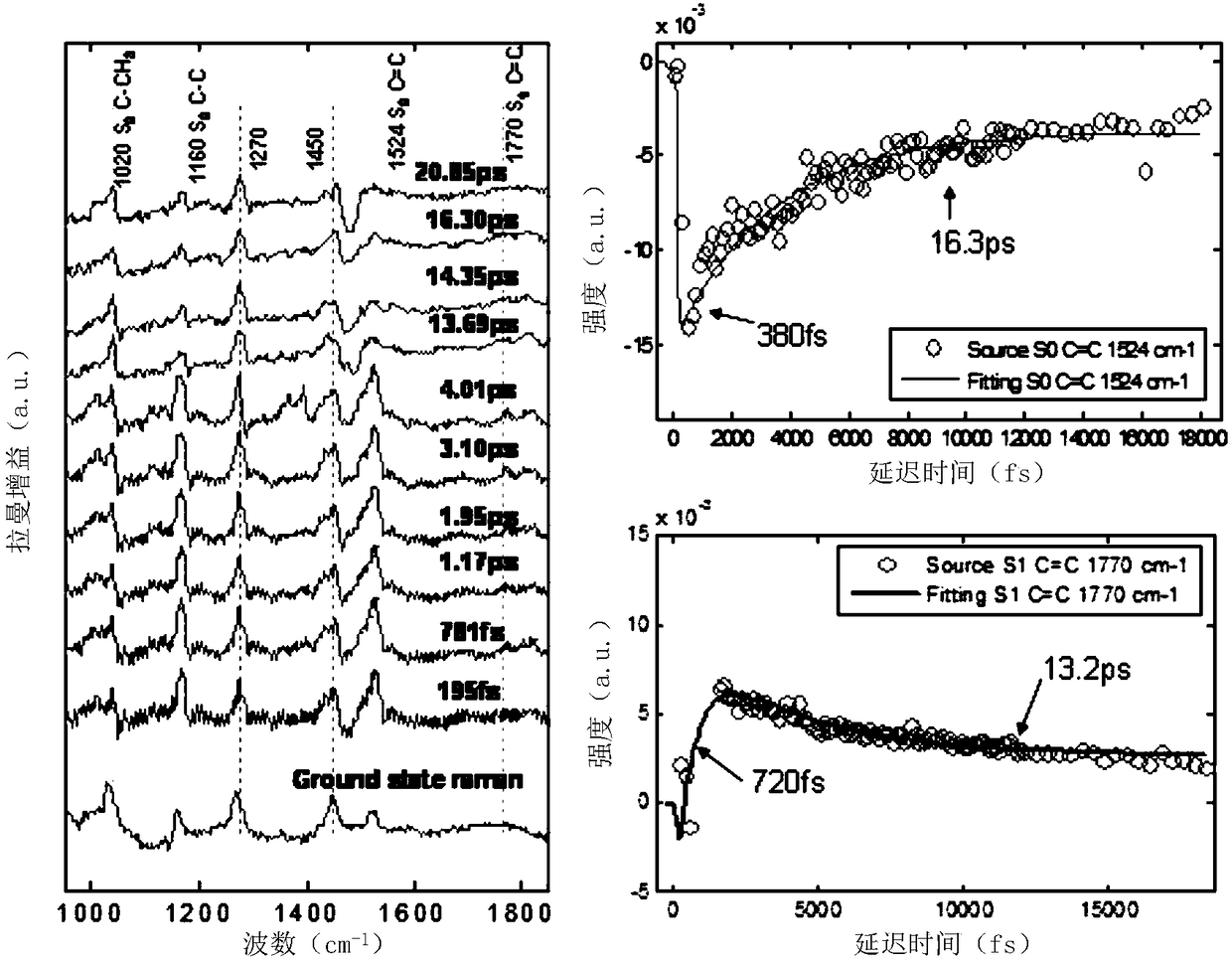 Femtosecond time resolved excited Raman spectrum system