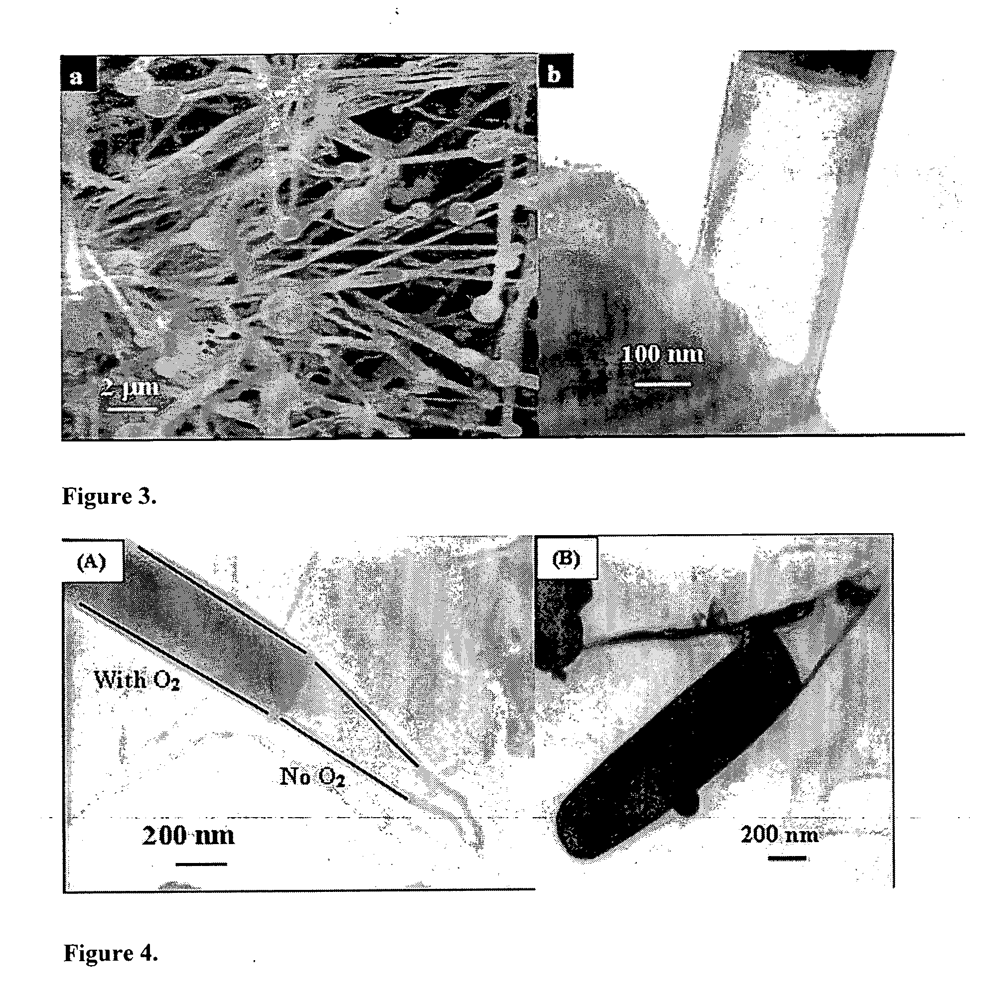 Tubular carbon nano/micro structures and method of making same