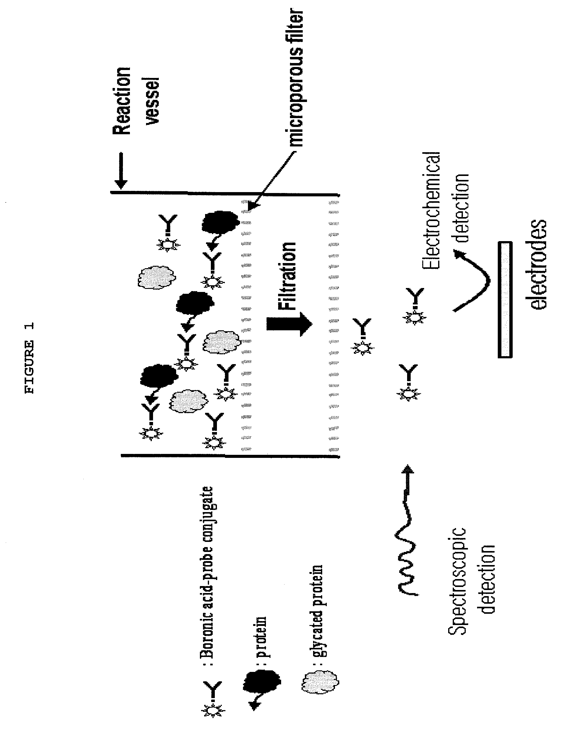Electrochemical determination system of glycated proteins