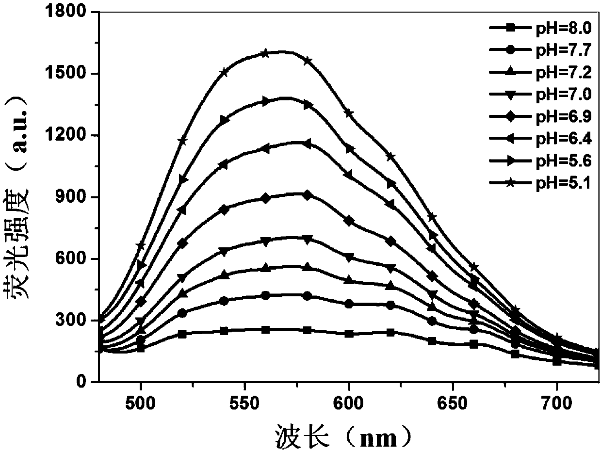PH-responsive conjugated polymer nanoparticles, preparation method and applications thereof