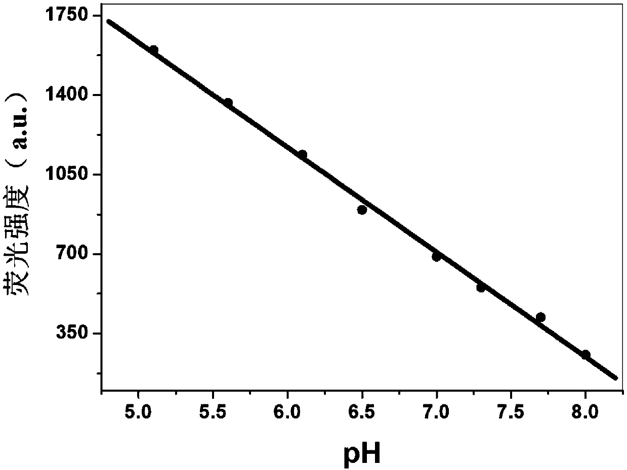 PH-responsive conjugated polymer nanoparticles, preparation method and applications thereof
