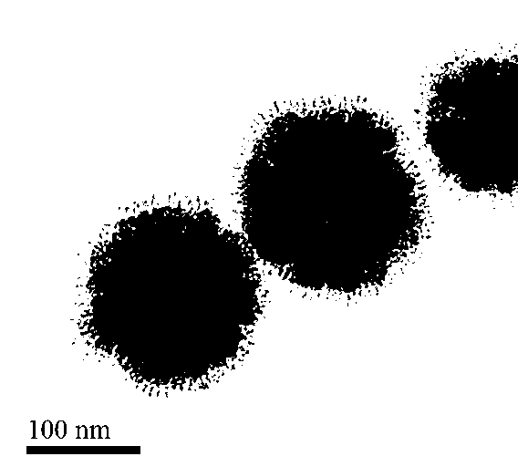 Hydrophilic magnetic mesoporous microsphere and production method and application thereof