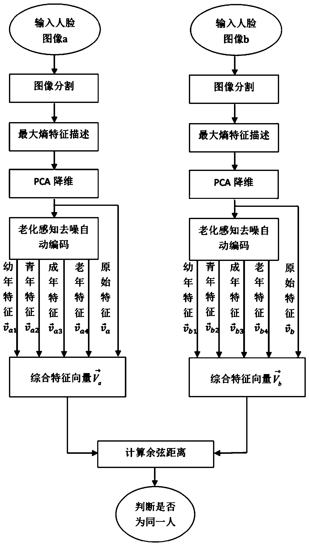 A cross-age face recognition method