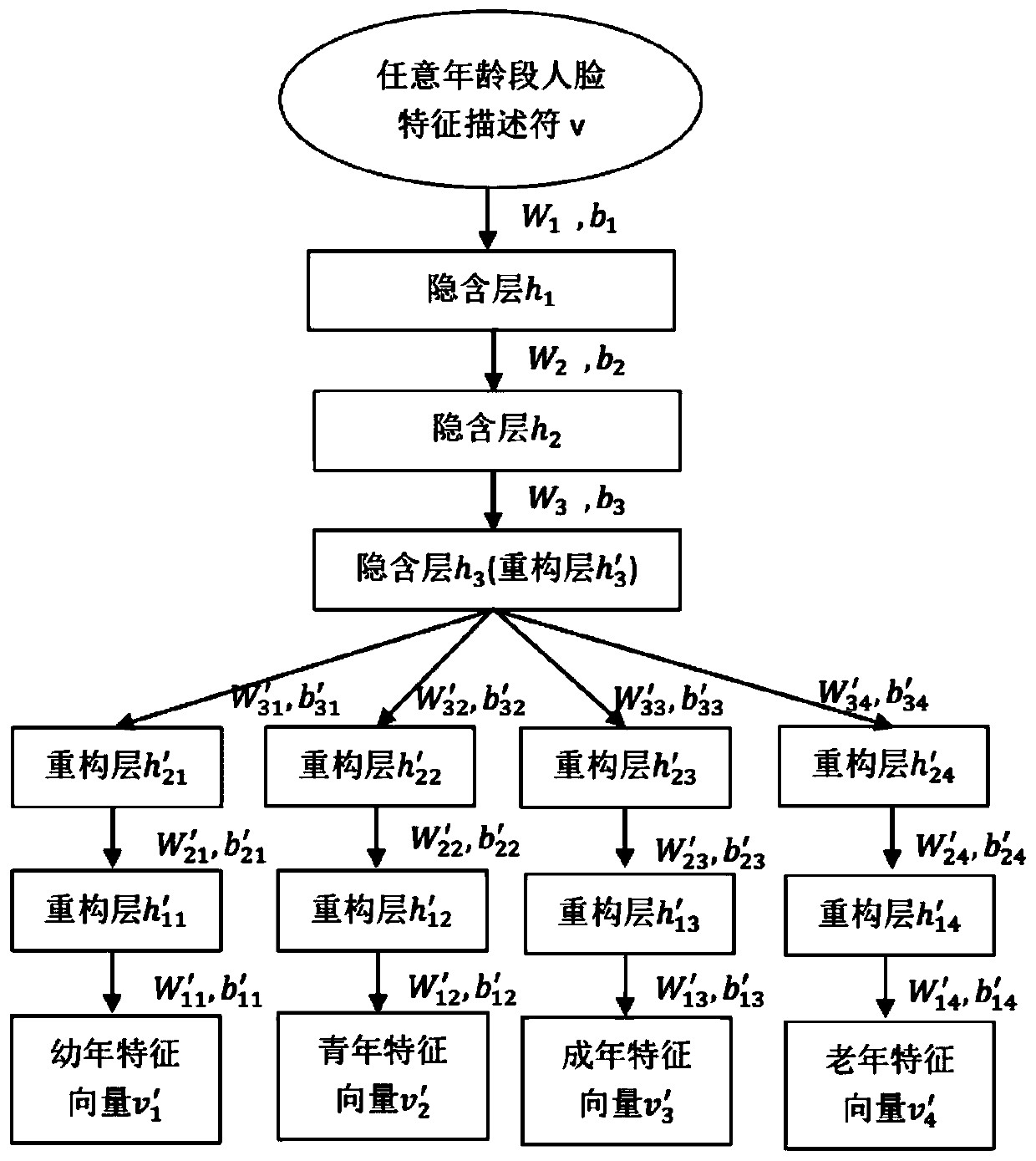 A cross-age face recognition method