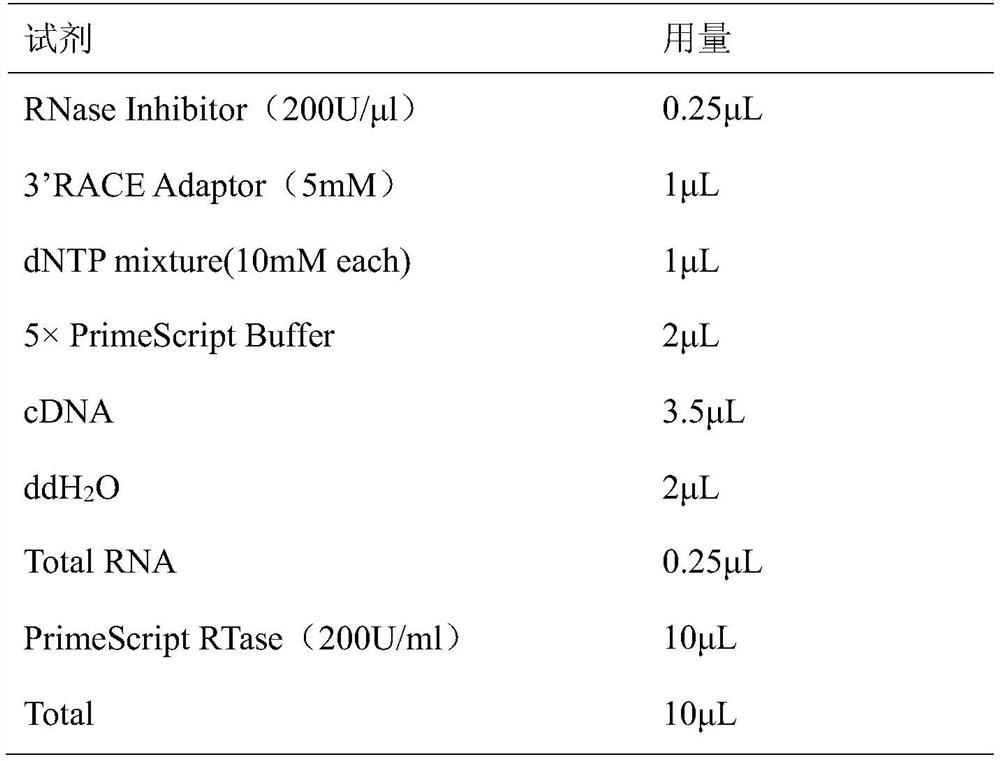 Upland cotton ghcm2 protein and its coding gene and application