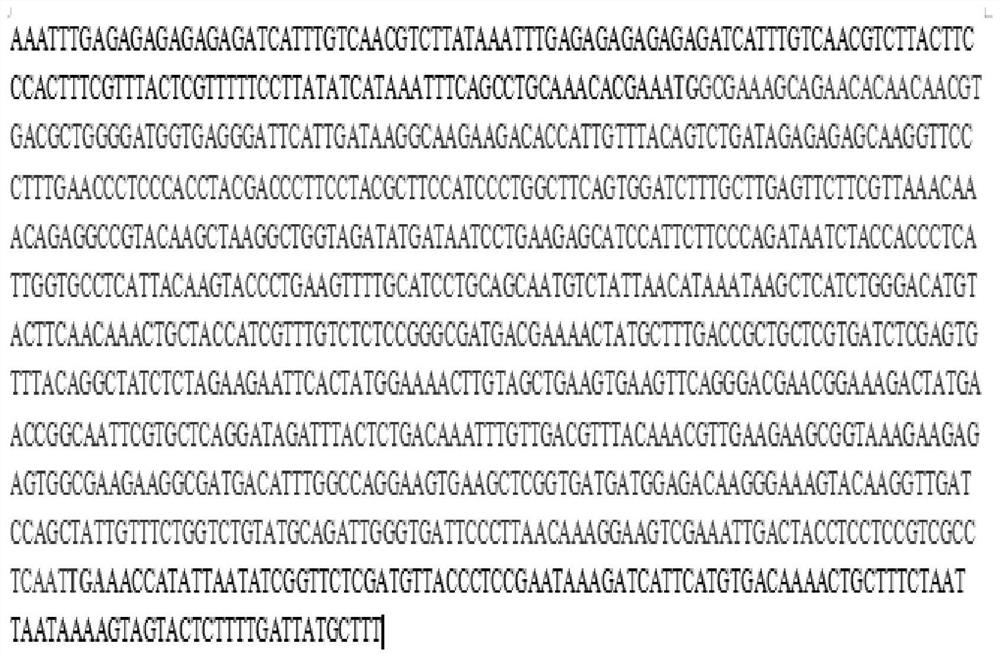 Upland cotton ghcm2 protein and its coding gene and application