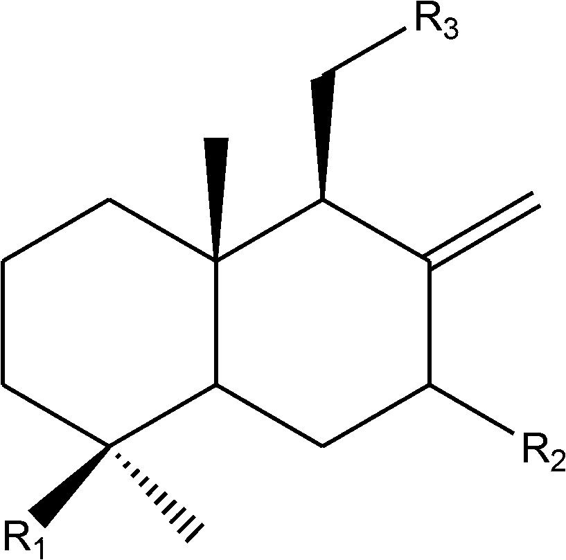 Labdane diterpenoid compounds, arborvitae seed extract, preparation method thereof and application thereof