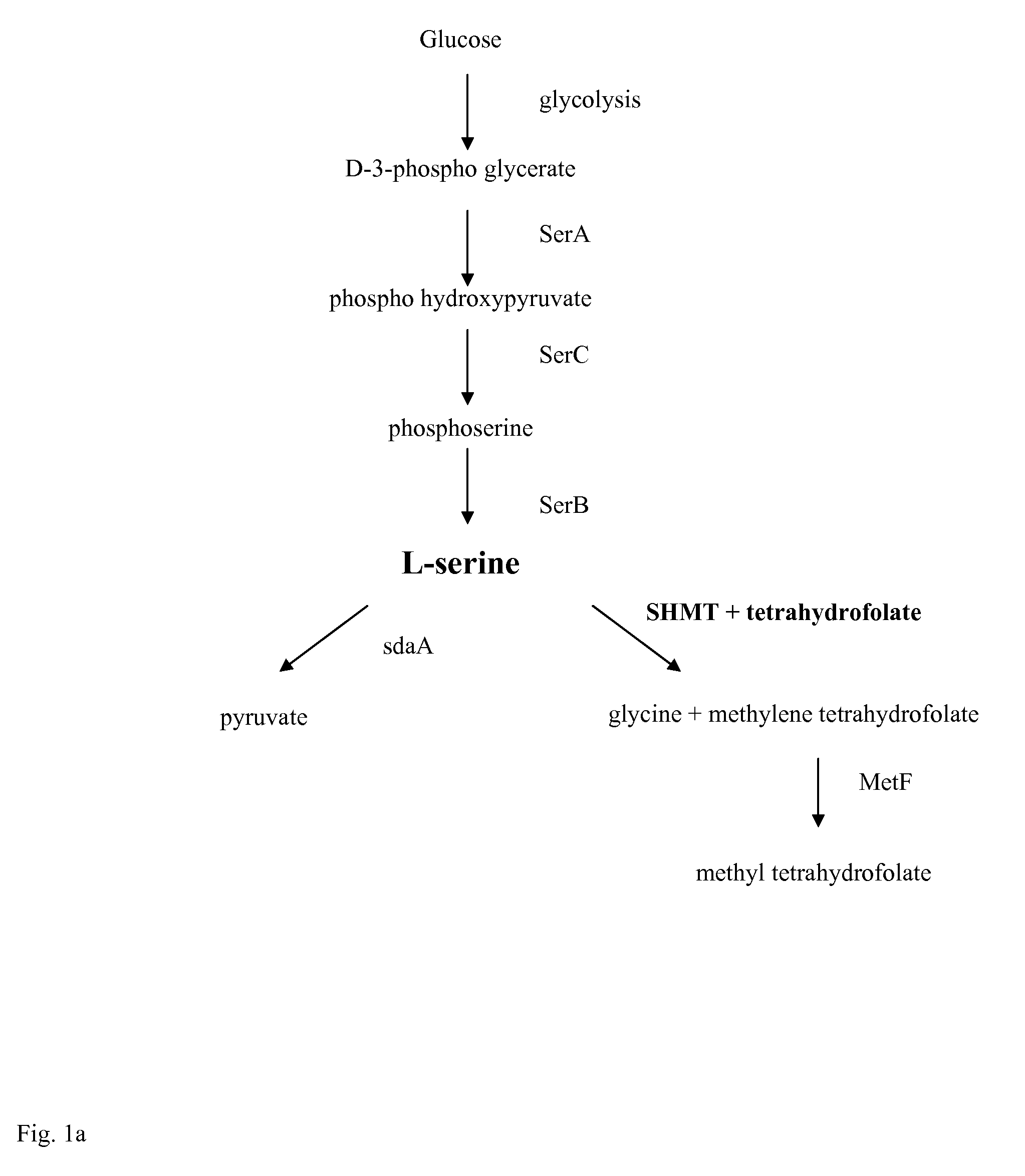 Process for the Preparation of L-Methionine