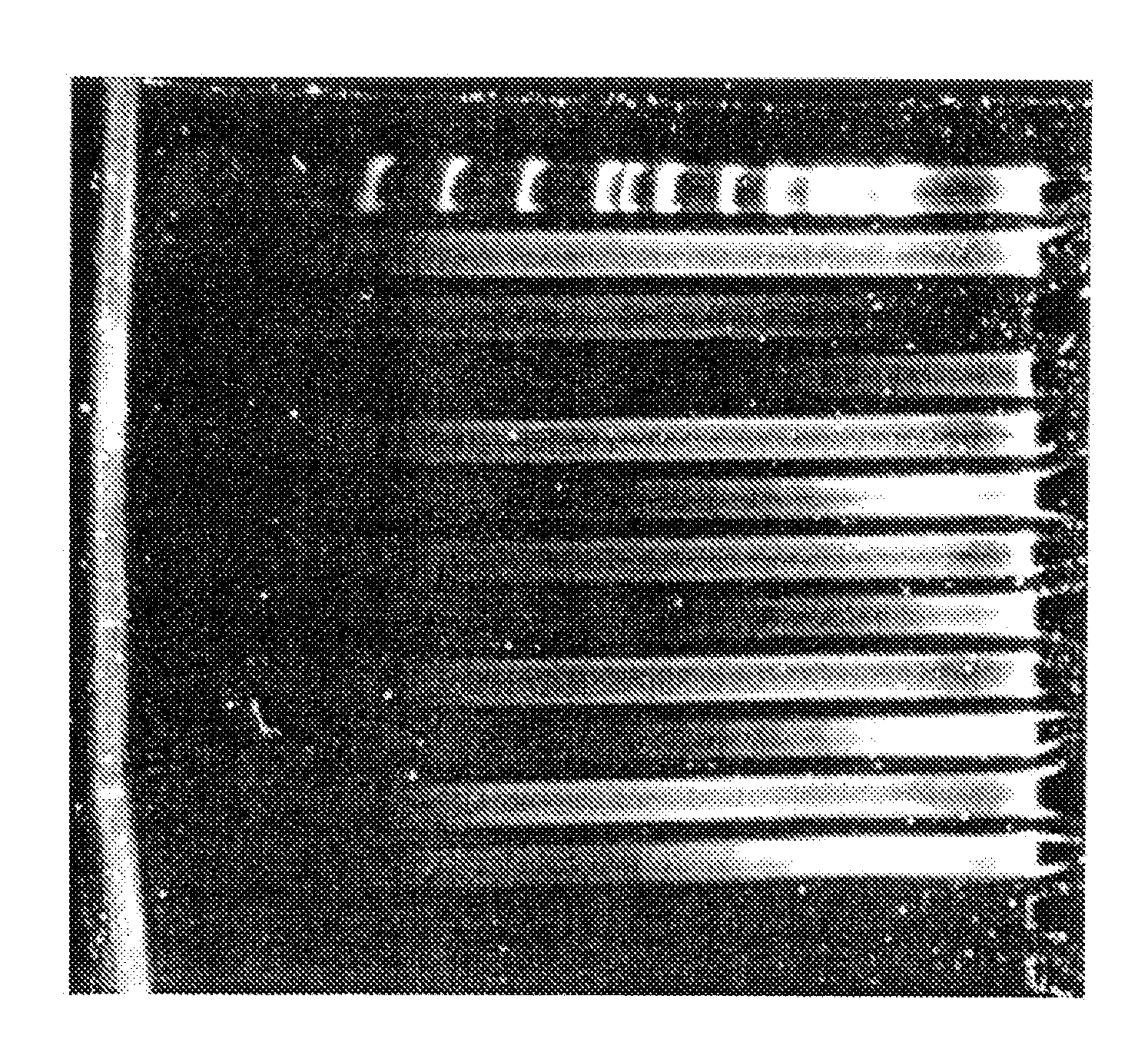 Methods for analysis of nucleic acid methylation status and methods for fragmentation, labeling and immobilization of nucleic acids