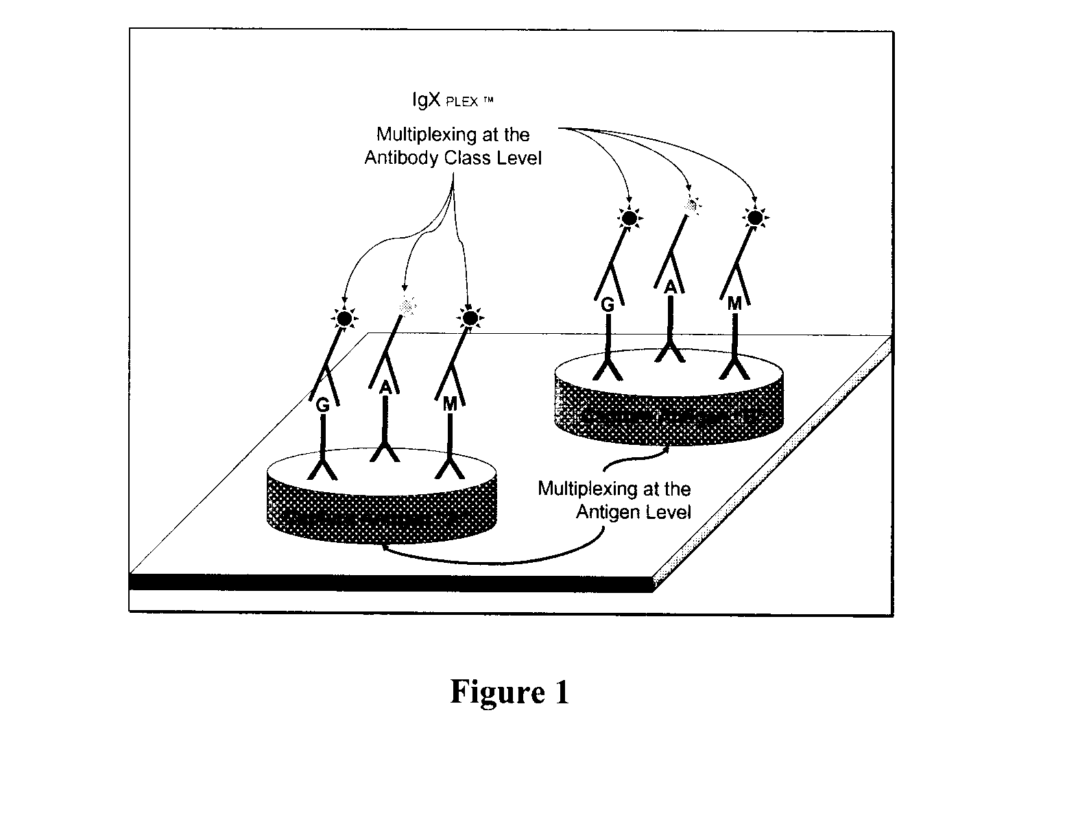 Methods for multiplex analyte detection and quantification