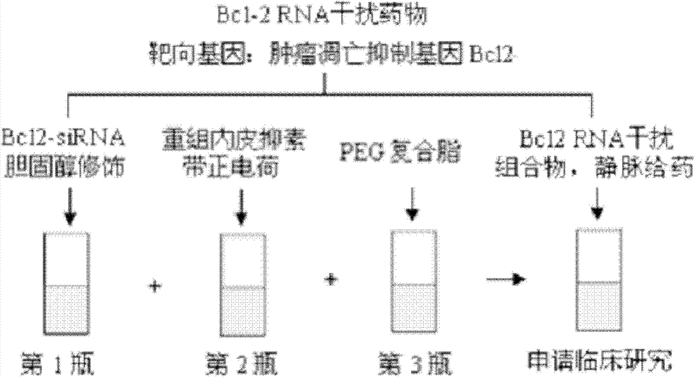 Composition comprising endostatin adopted as delivery system and chemically-synthesized RNA interference molecule, and application thereof