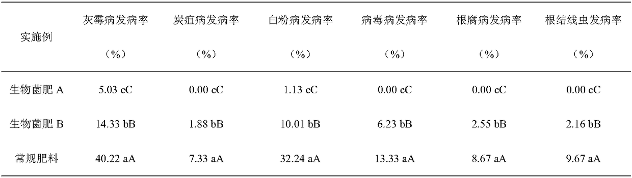 Special biological bacterial fertilizer for strawberries as well as preparation method and application thereof