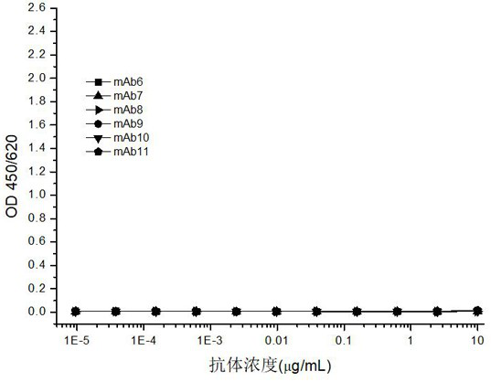 Antibody or antigen binding fragment thereof for novel coronavirus nucleocapsid protein and application of antibody or antigen binding fragment thereof