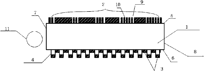 Two-dimensional metallic photonic crystal-based light guide plate with polarization function