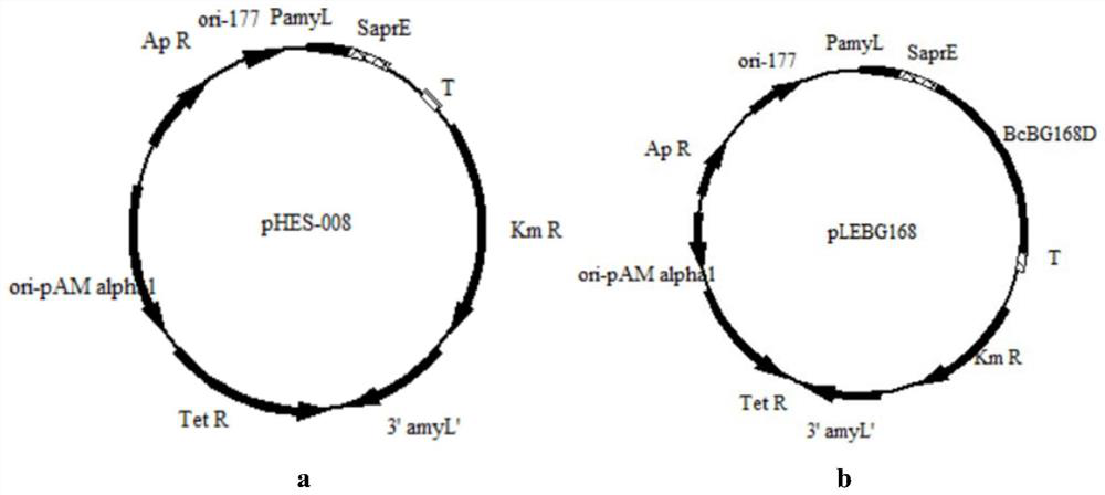 A special enzyme for galacto-oligosaccharide production and its preparation and application