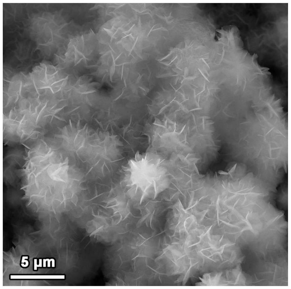 Feooh/ni, a micron flower-shaped high-performance full-splitting bifunctional electrocatalyst for water  <sub>3</sub> the s  <sub>2</sub> preparation method