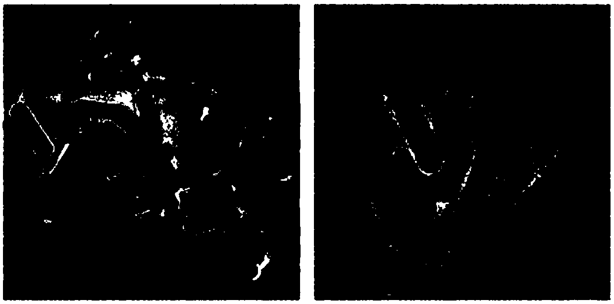 Preparation method and application of Mo3S4-coated gold nano-rod