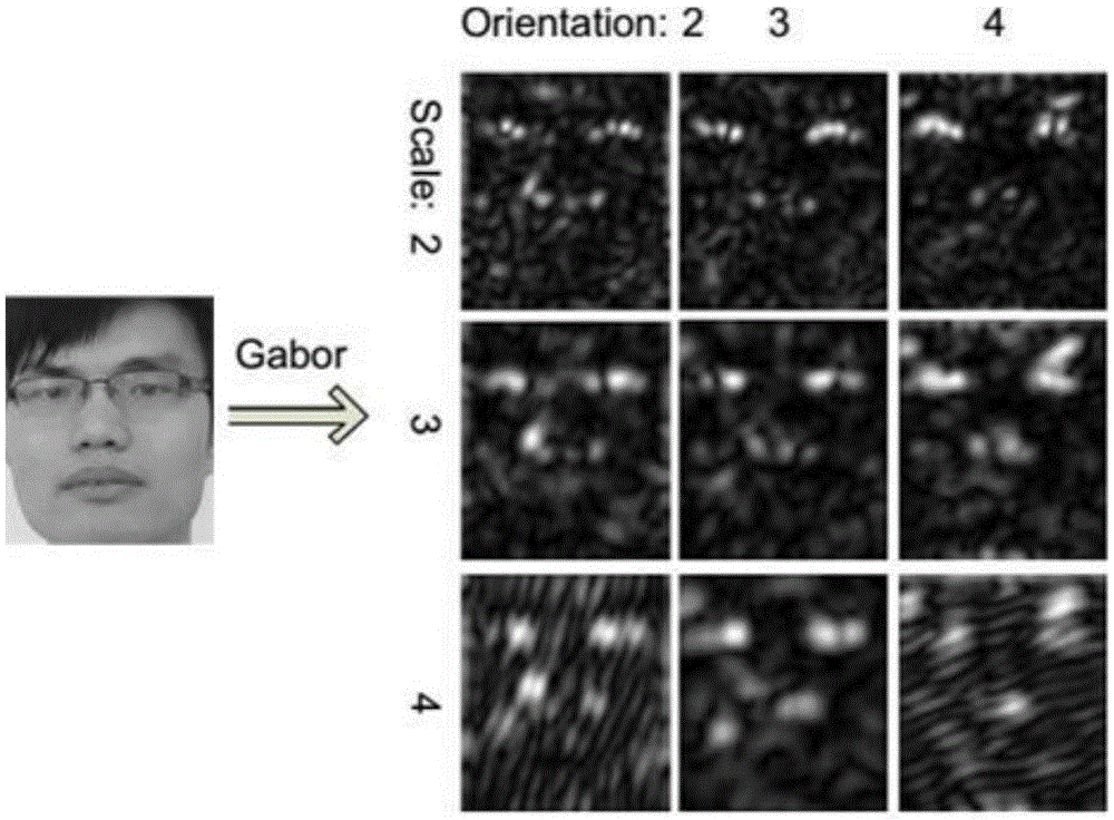 Facial pose recognition method based on Gabor features and dictionary learning