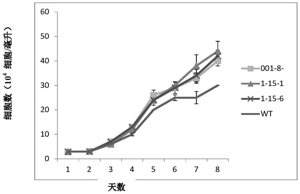 A kind of screening method and application of rapid growth mutants of microalgae