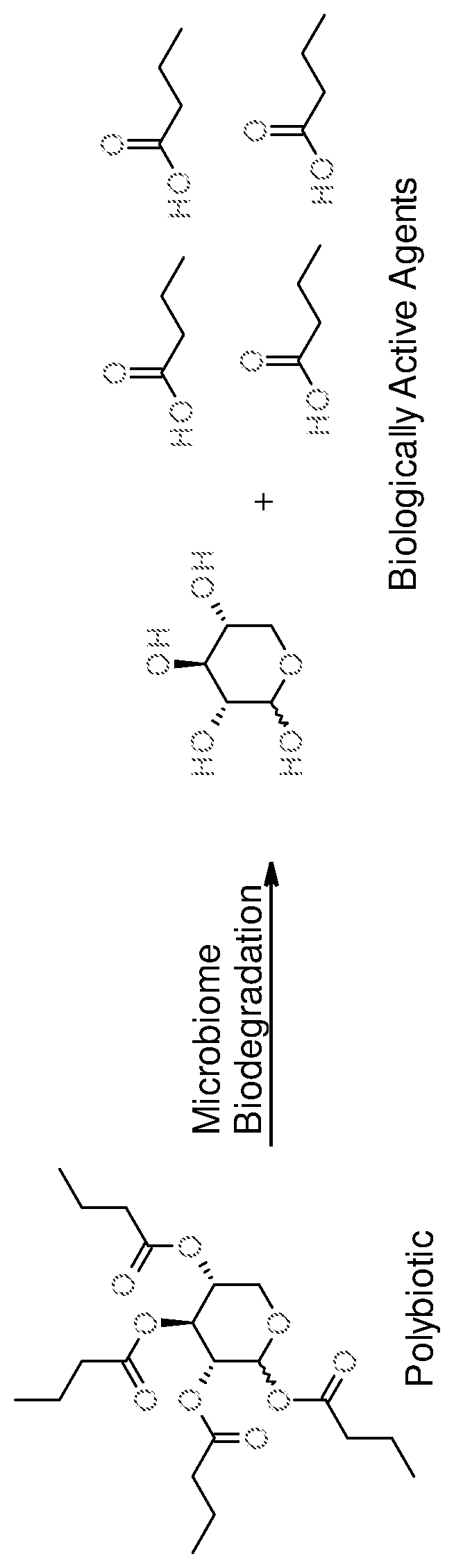 Multibiotic agents and methods of using the same