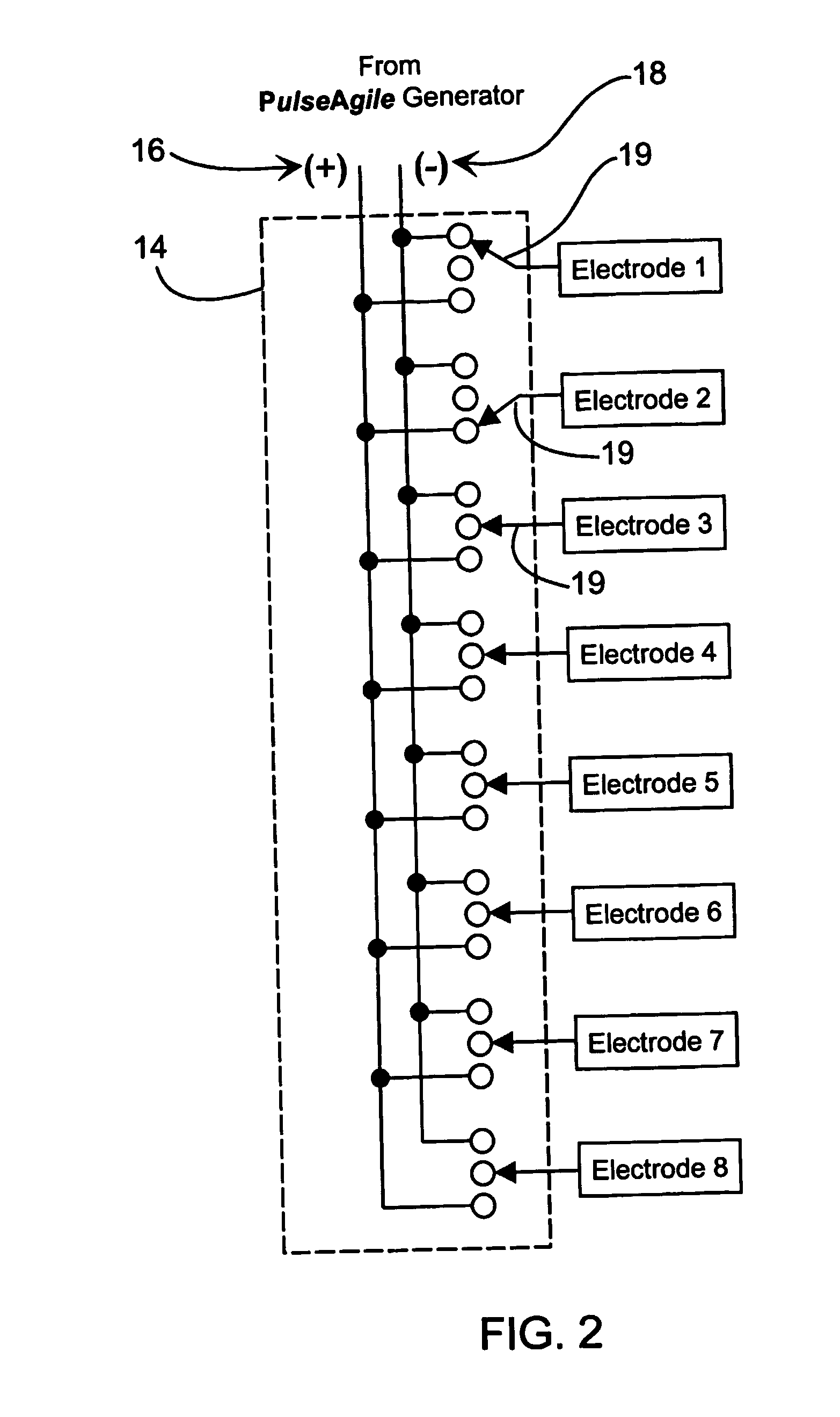 Method of treating biological materials with translating electrical fields and electrode polarity reversal
