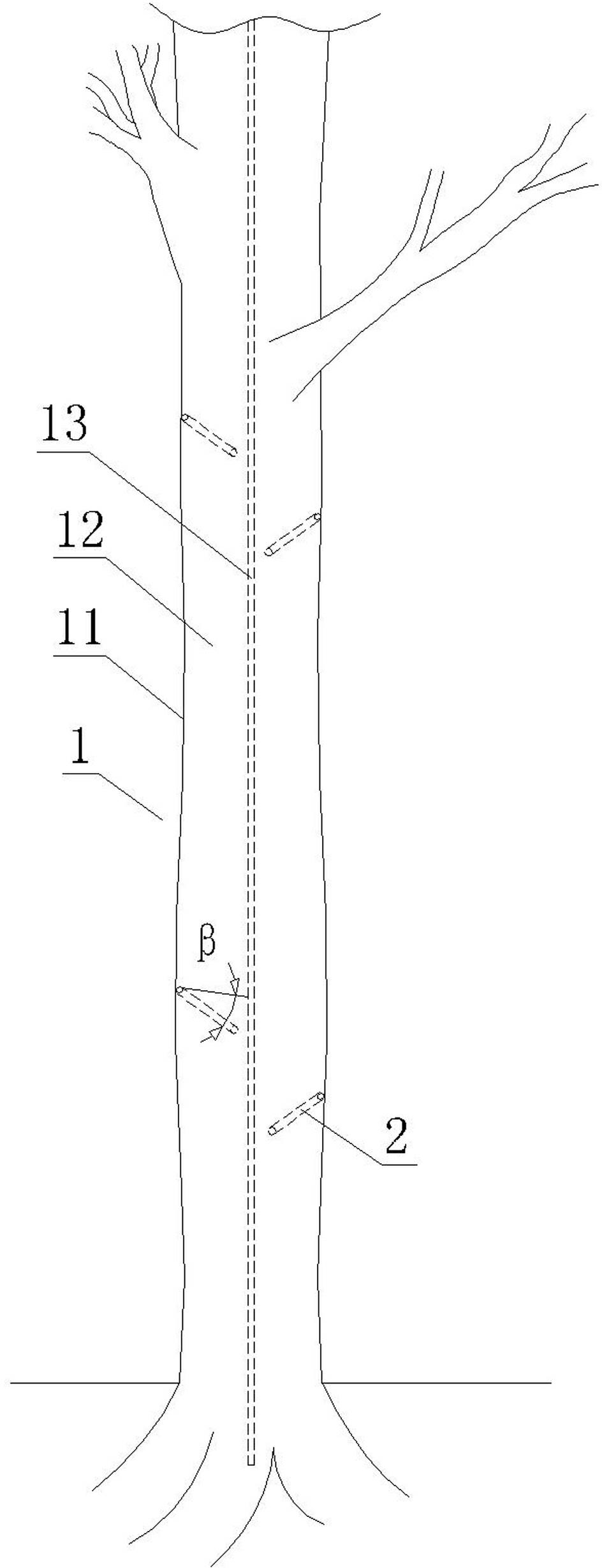 Method for producing agilawood on aquilaria plant by eccentric perfusion method and scent gland activator