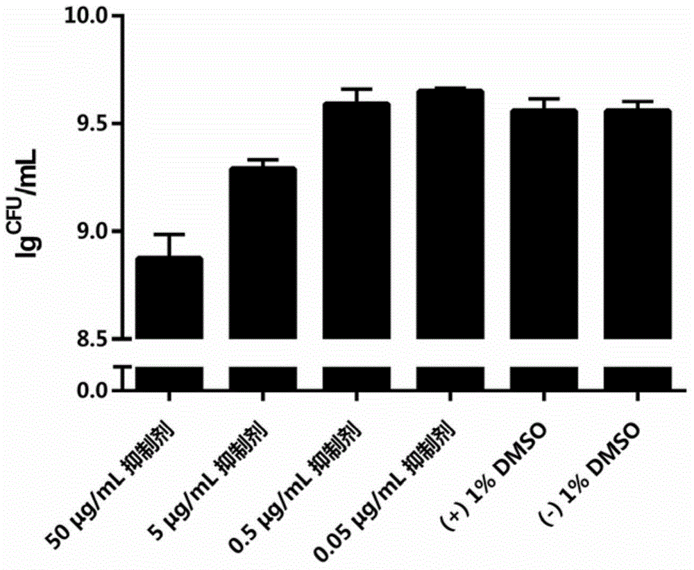 Preparation method and application of quinoxaline amide compound used as streptococcus mutans biological membrane inhibitor