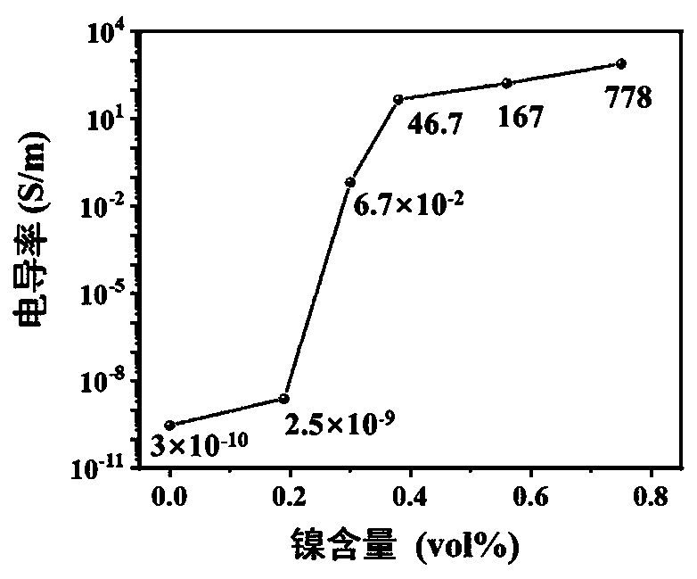 Nylon 6/expanded graphite/nickel composite material for electromagnetic shielding container, and preparation method thereof