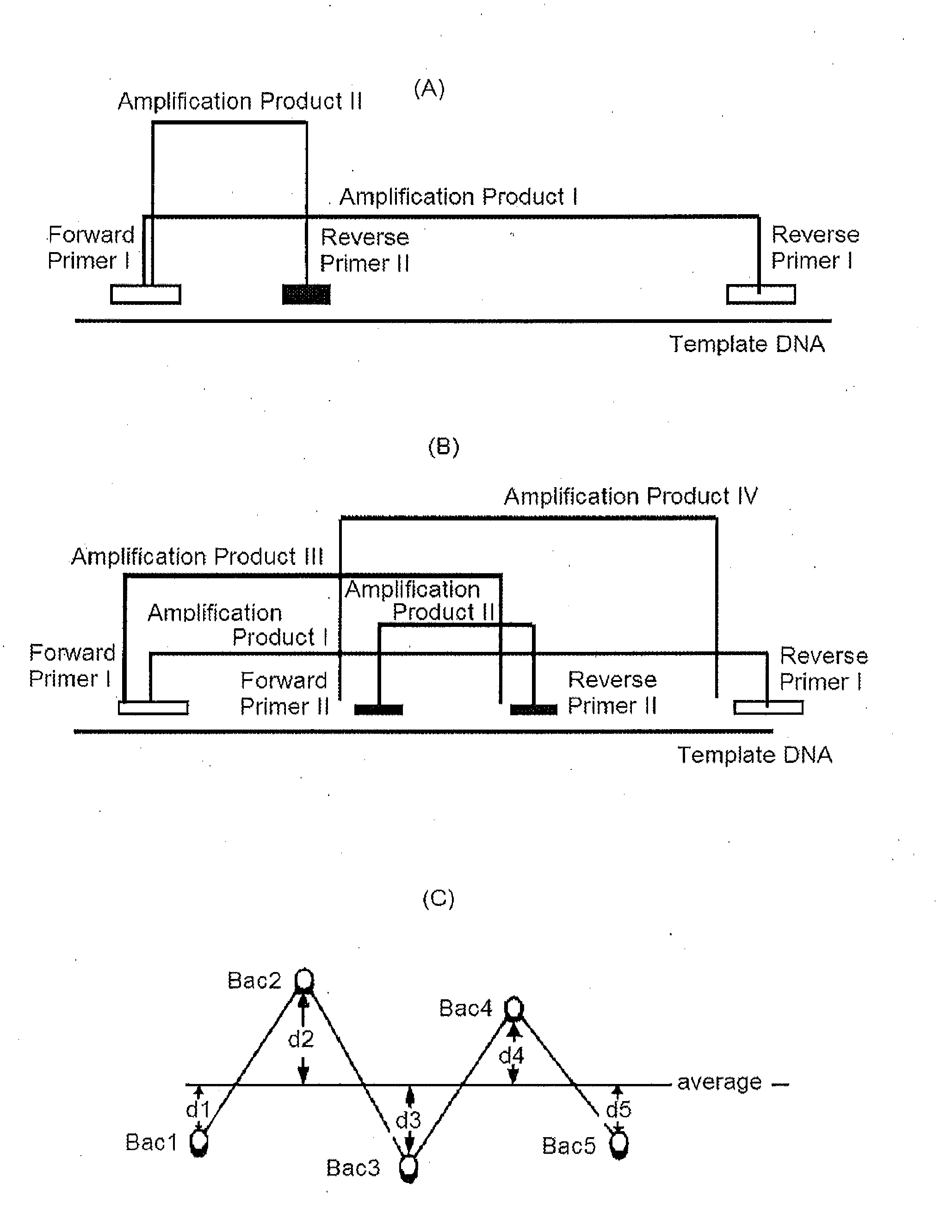 Enzyme preparation containing thermostable DNA polymerase, method for producing same, and method for detecting subject organism to be detected
