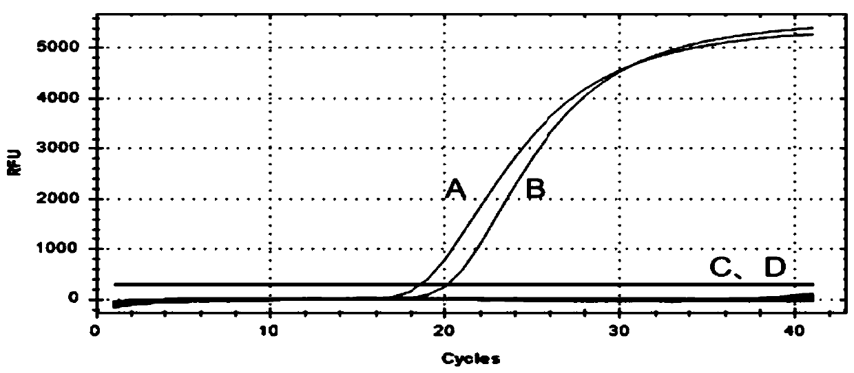 Fluorescent PCR (polymerase chain reaction) primer group and kit for rapidly detecting Salmonella pullorum