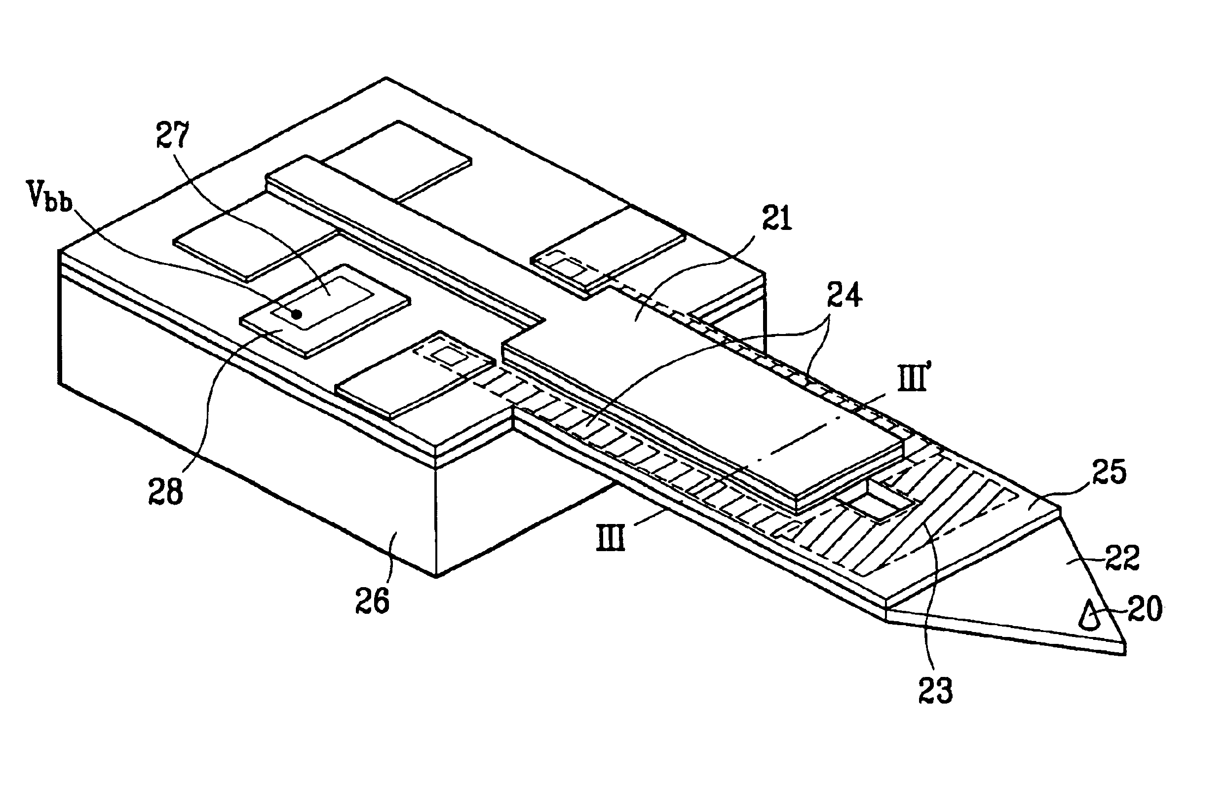 Cantilever for scanning probe microscope
