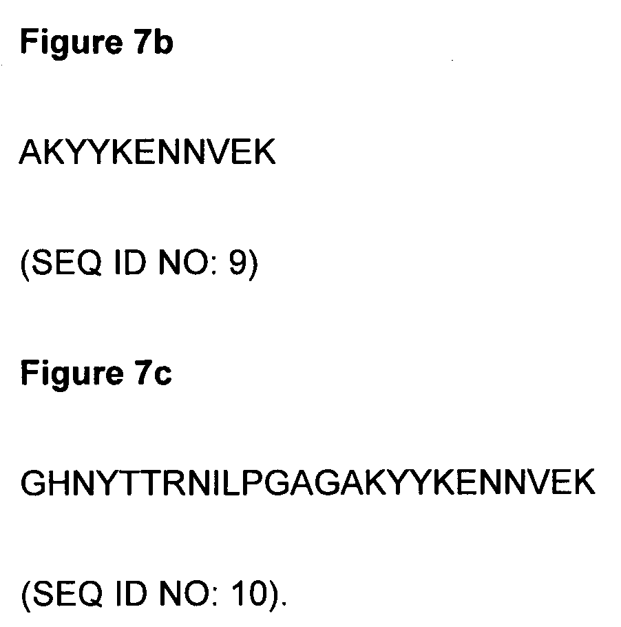 Anti-p2x7 peptides and epitopes