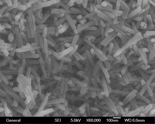 Method for synthesizing rutile phase titania photocatalyst containing electron-trapped oxygen vacancies