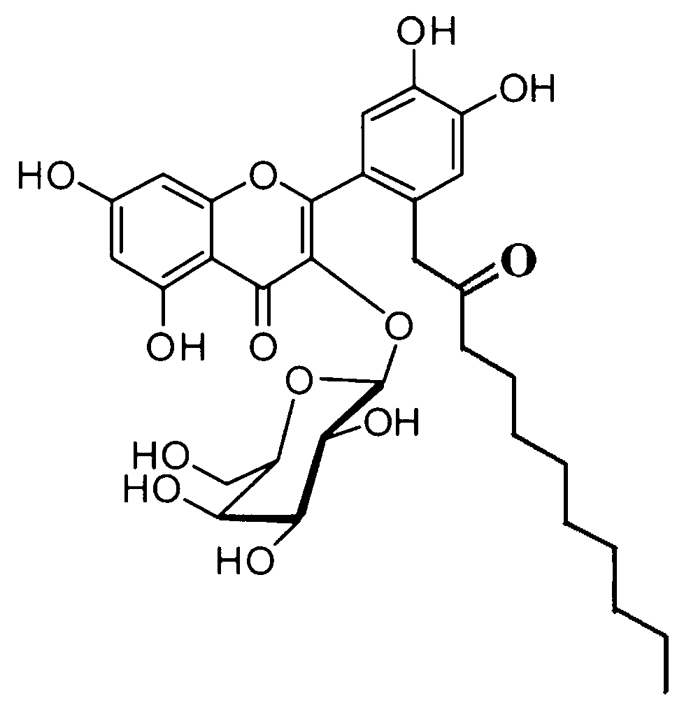 Application of Houttuynoid E in anti-human fungal drugs