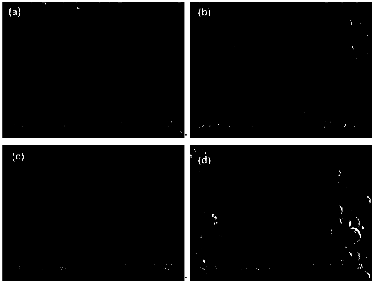 Preparation method of hollow Fe/Fe3O4@SiO2 nanostructure with adjustable wave-absorbing property