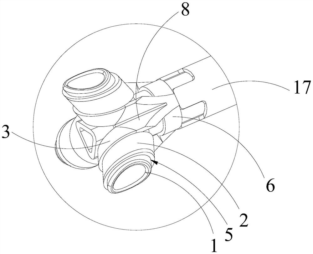 Multi-cavity ligation head and anorectal ligation device using same