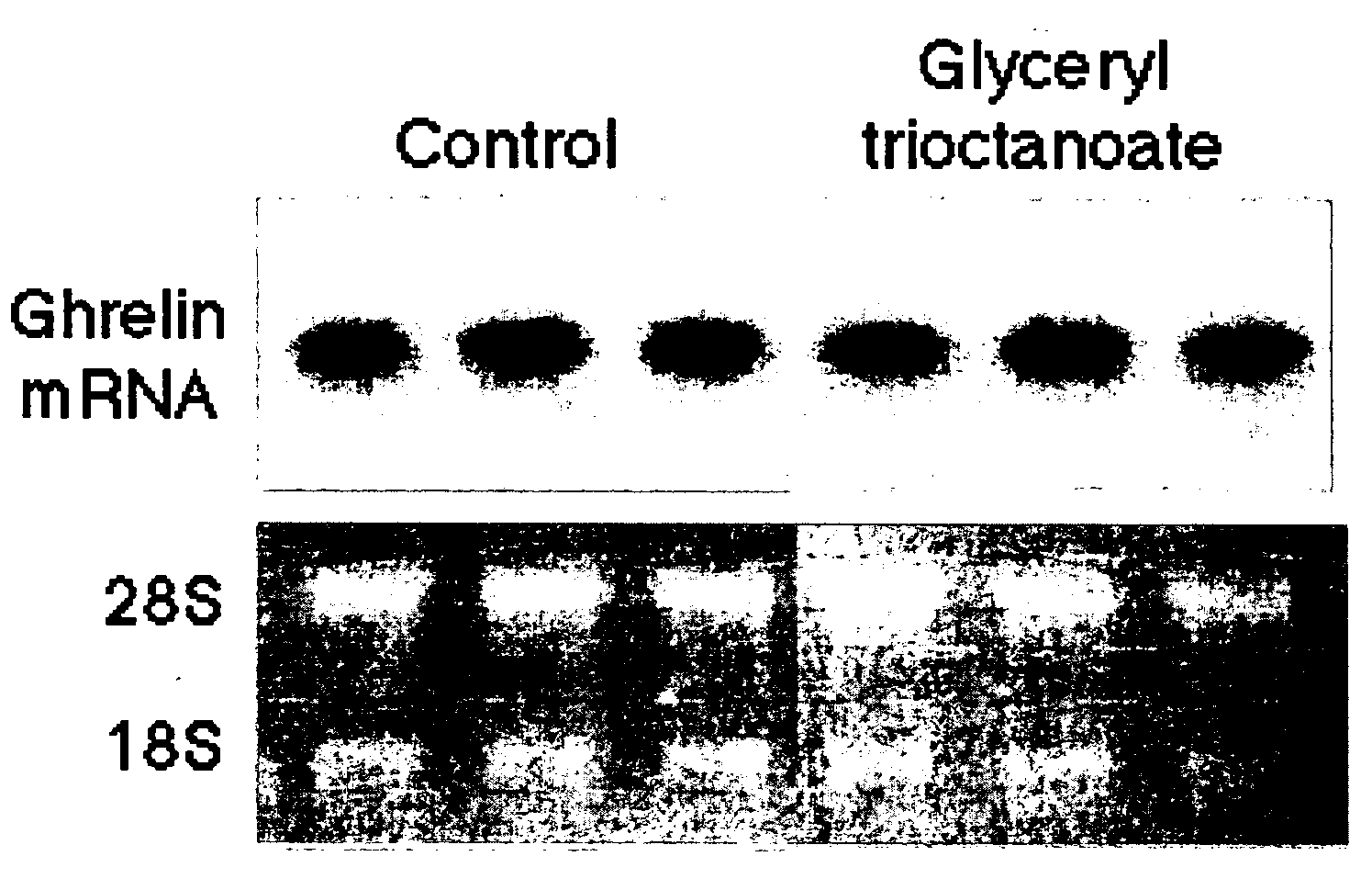 Regulator of Physiological Function of Ghrelin and Use Thereof