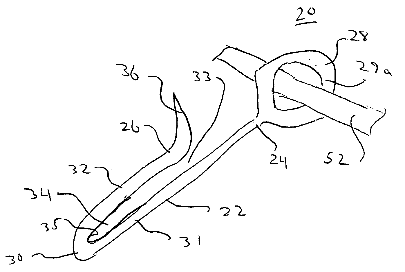 System and method for harvesting grape clusters