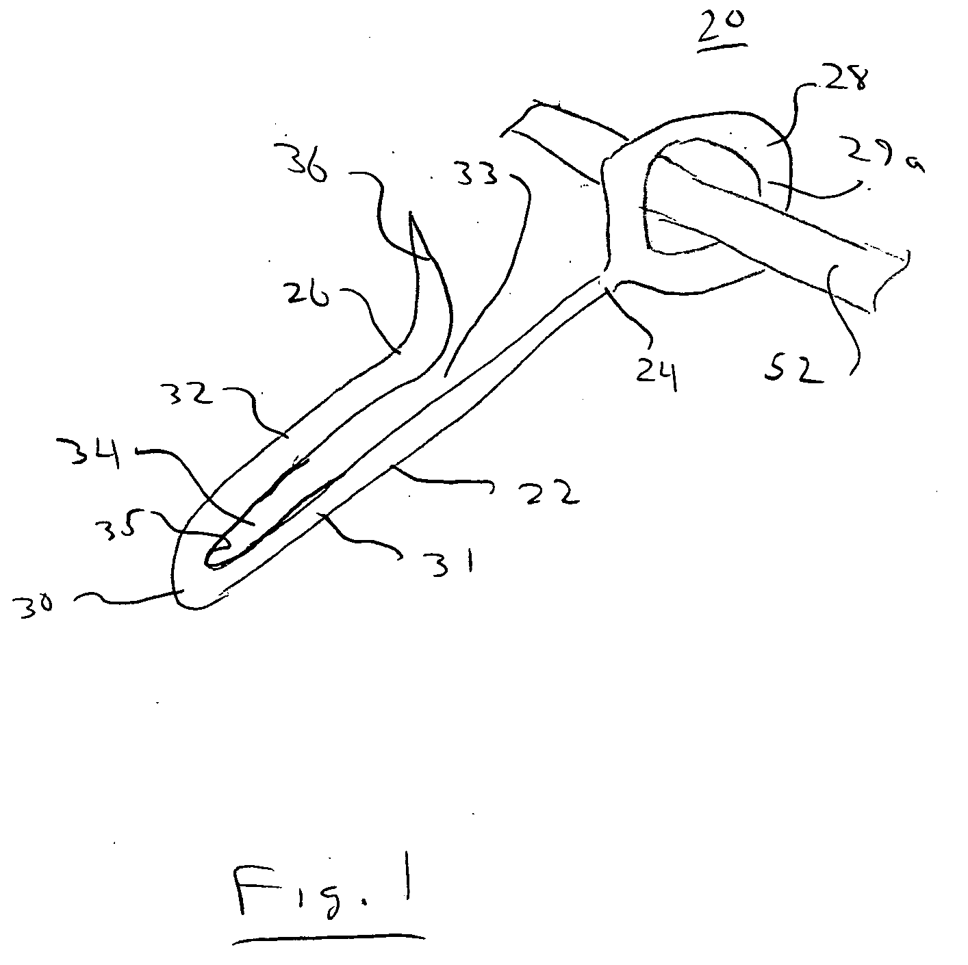 System and method for harvesting grape clusters