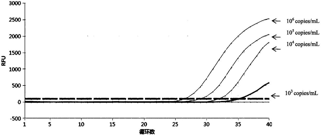 Genital tract pathogen nucleic acid detection kit