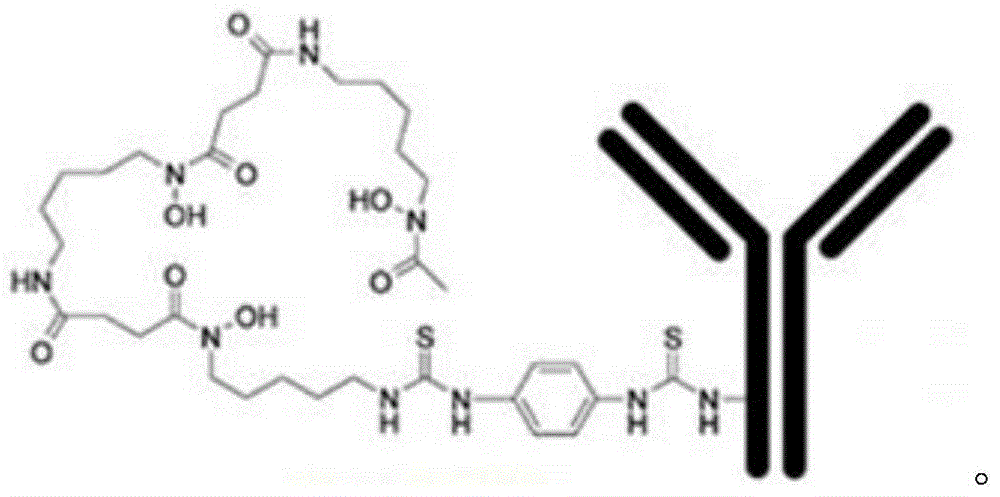 Mark product of &lt;89&gt;Zr marked denosumab, and preparation method and application thereof