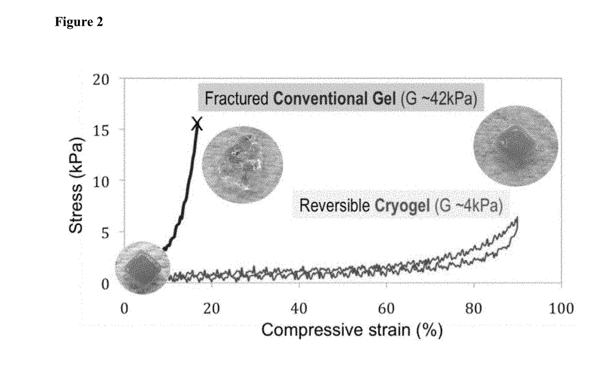 Injectable Cryogel Vaccine Devices and Methods of Use Thereof