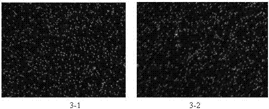 Sequencing reaction platform and nucleic acid sequence detection device