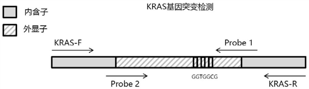 Multigene prediction model of colorectal tumors based on ngs technology in stool DNA