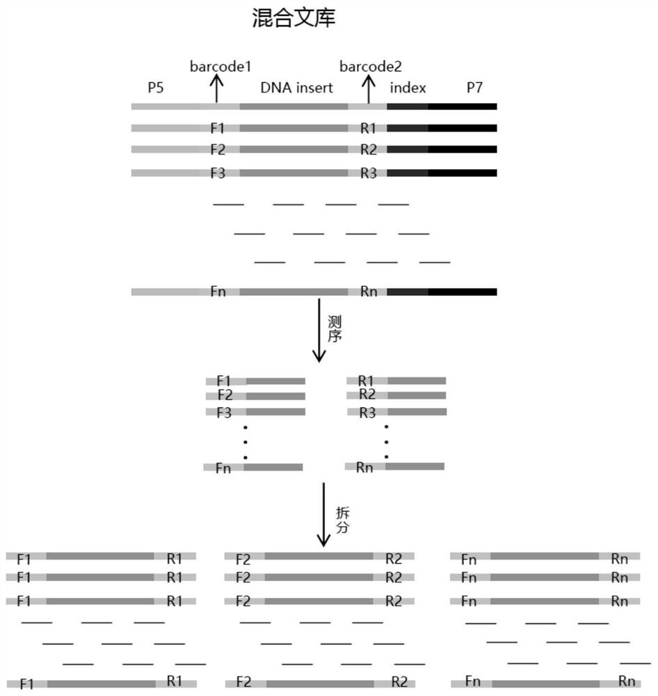 Multigene prediction model of colorectal tumors based on ngs technology in stool DNA