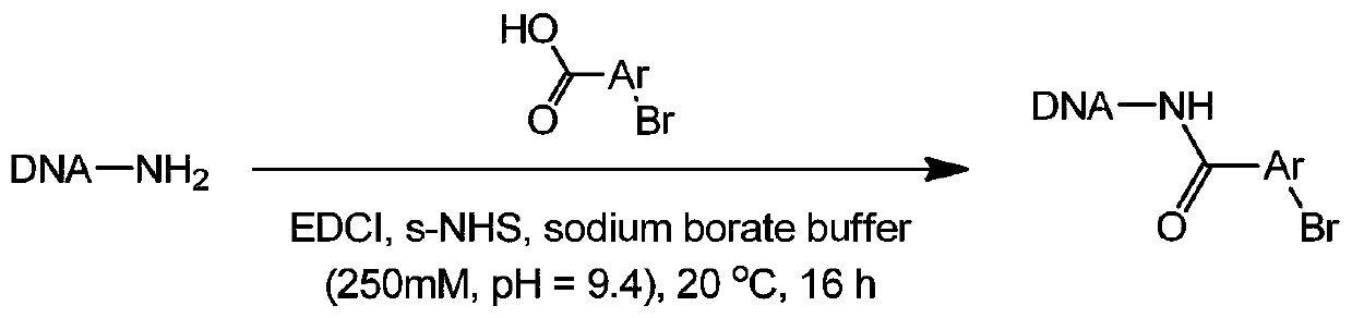 Synthesis method of On-DNA aryl azide compound in construction of DNA coding compound library