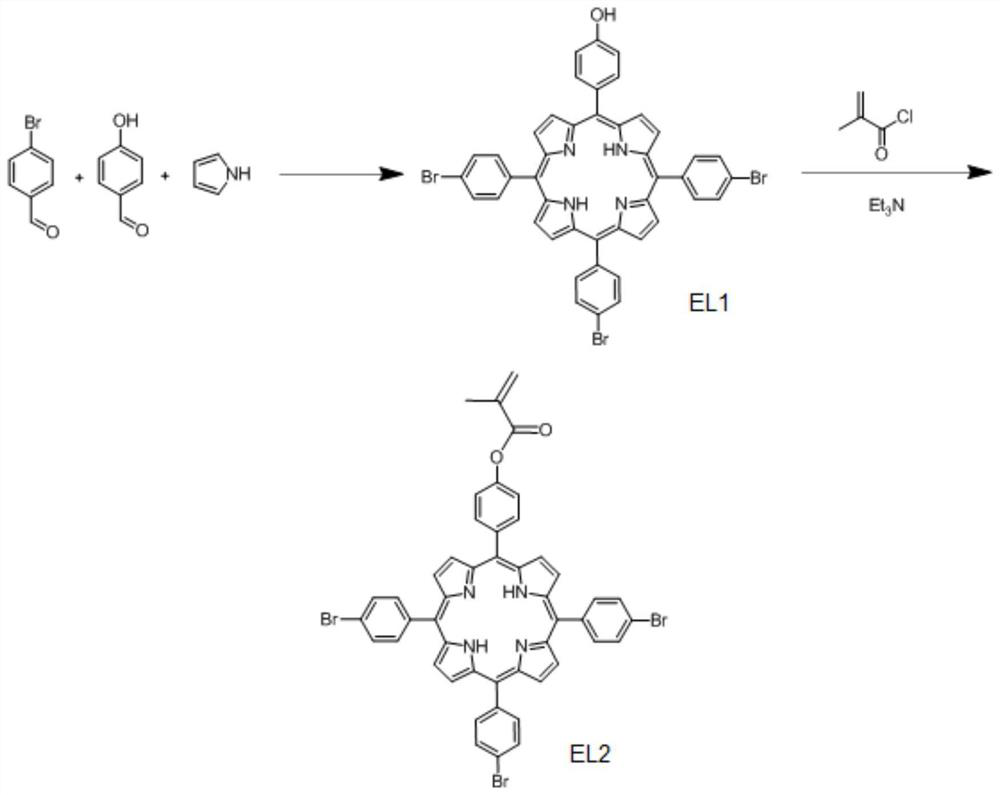 A kind of multifunctional metalloporphyrin complex, its preparation method and polycarbonate preparation method