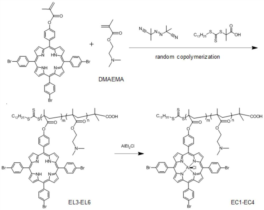 A kind of multifunctional metalloporphyrin complex, its preparation method and polycarbonate preparation method