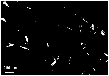 Preparation method of transition metal oxide nanosheet array @ carbon paper electrode