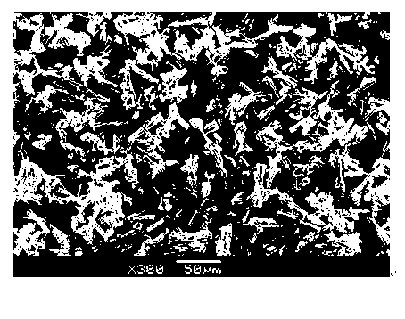 Vanadium dioxide (VO2) phase change material with beam-shaped nanostructure and preparation method thereof